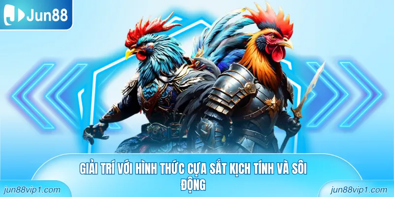 Giải trí với hình thức cựa sắt kịch tính và sôi động