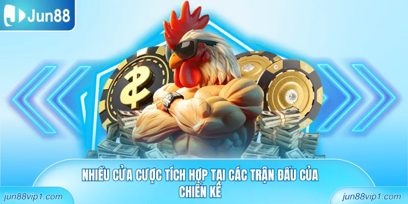 Nhiều cửa cược tích hợp tại các trận đấu của chiến kê