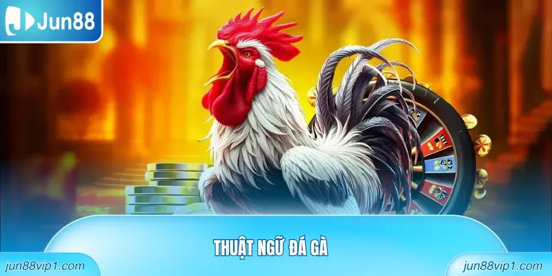 Thuật ngữ đá gà